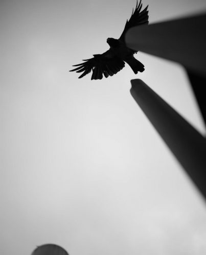 472163091 18374030704117058 546228986411570846 n